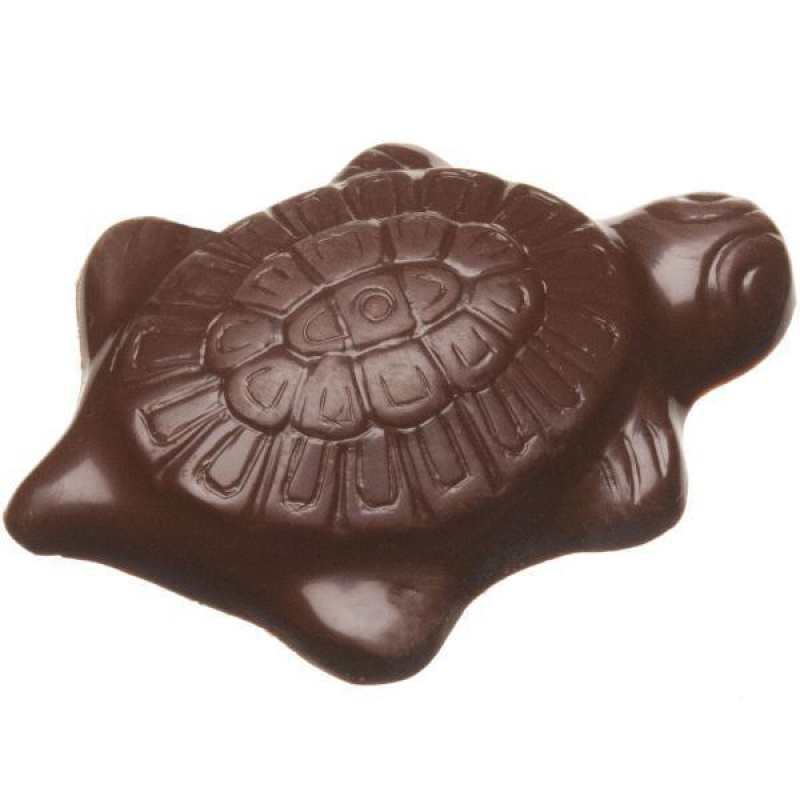 Mini Sea Shells 5g Dark Chocolate