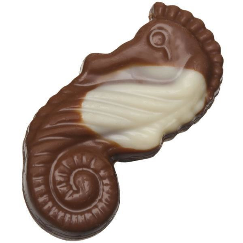 Sea Shells Milk & White Chocolate Sea Shells Milk & White Chocolate